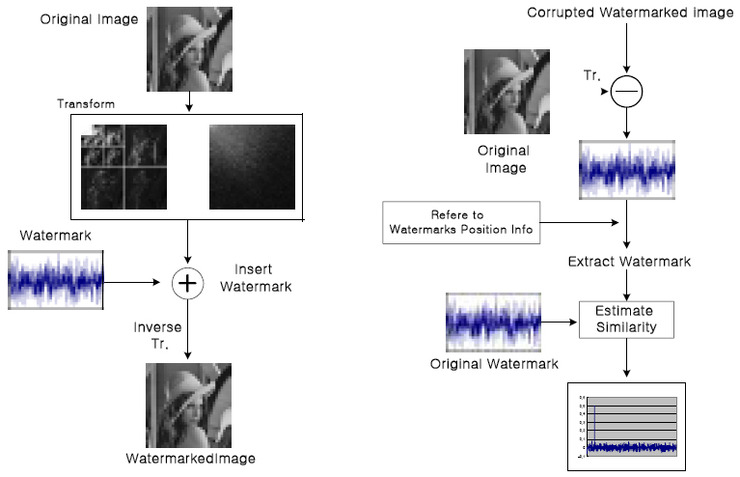 Image watermarking : Frequency Domain